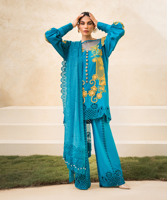 Eid Collection'24-TM5